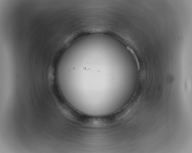 X0000111160264200907141407