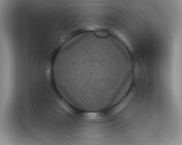 X0000111160265200907141408