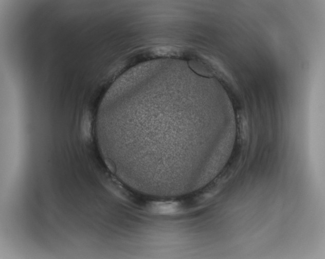 X0000111160266200907141408