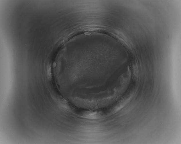 X0000111160267200907141408
