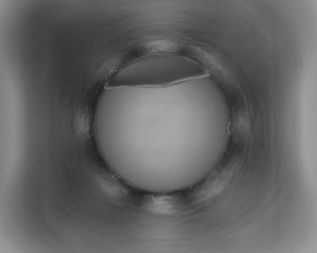 X0000111160268200907141408