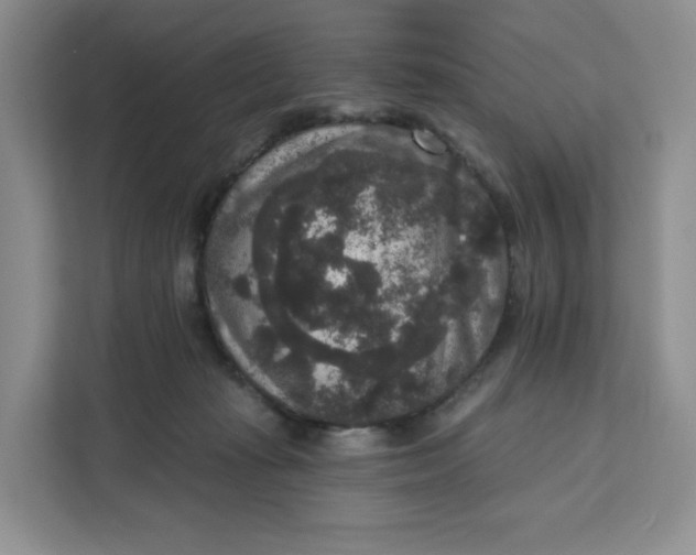 X0000111160269200907141408