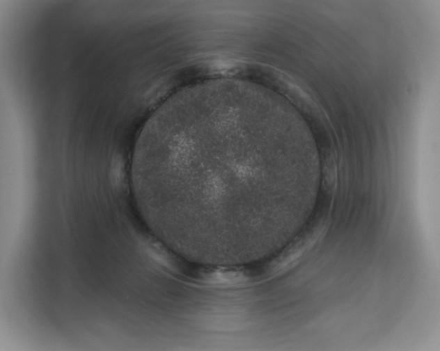 X0000111160270200907141408