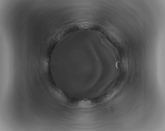 X0000111160271200907141408