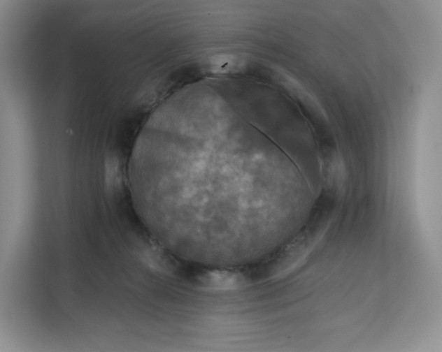 X0000111160272200907141408