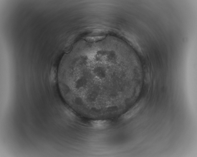 X0000111160273200907141408