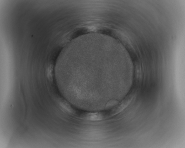 X0000111160275200907141408