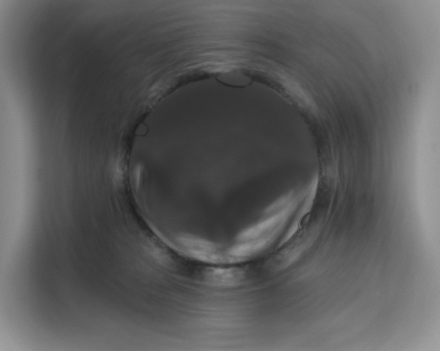 X0000111160277200907141408