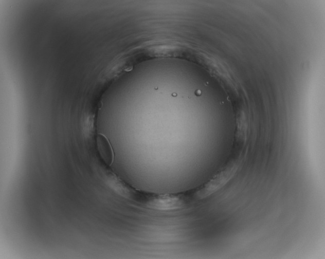 X0000111160278200907141408