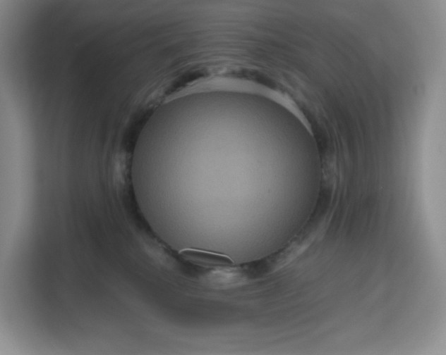 X0000111160280200907141408
