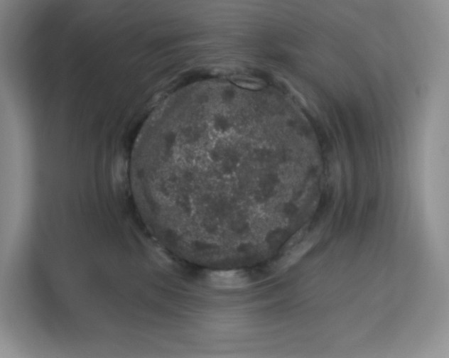 X0000111160281200907141408