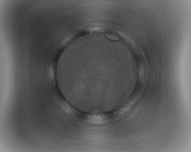 X0000111160282200907141408