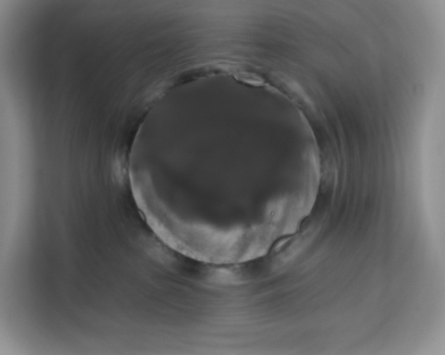X0000111160285200907141408