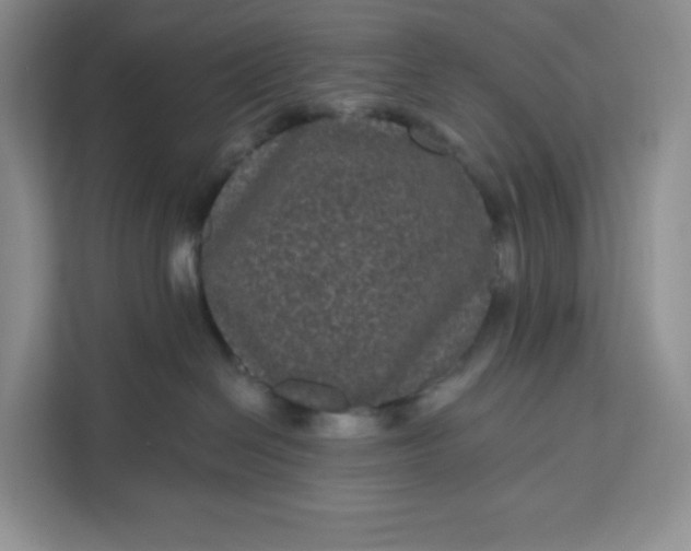 X0000111160286200907141408