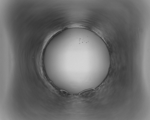X0000111160289200907141407