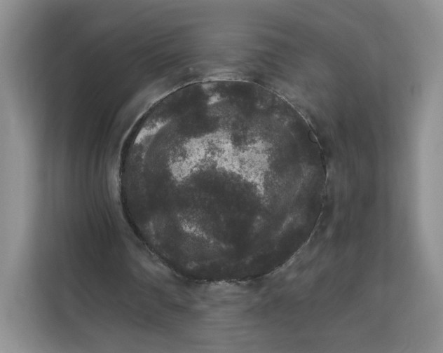 X0000111160290200907141407