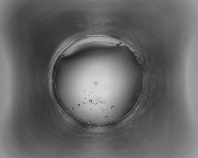 X0000111160293200907141407