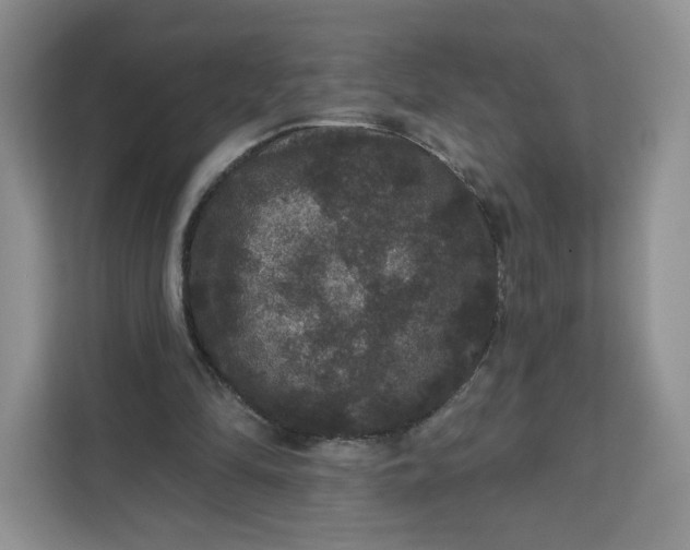 X0000111160294200907141407