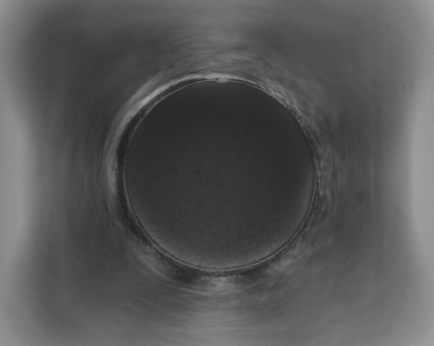 X0000111160295200907141407