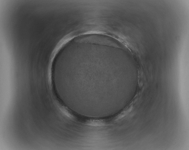 X0000111160296200907141407