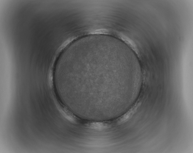 X0000111160298200907141407