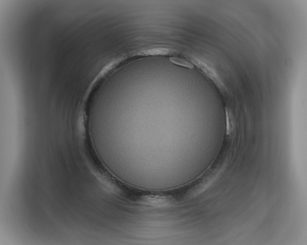 X0000111160300200907141407