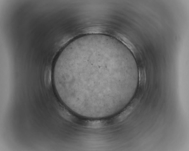 X0000111160301200907141407