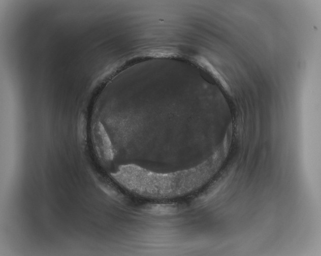 X0000111160303200907141407