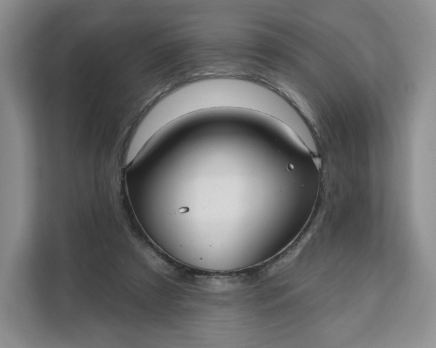 X0000111160305200907141407