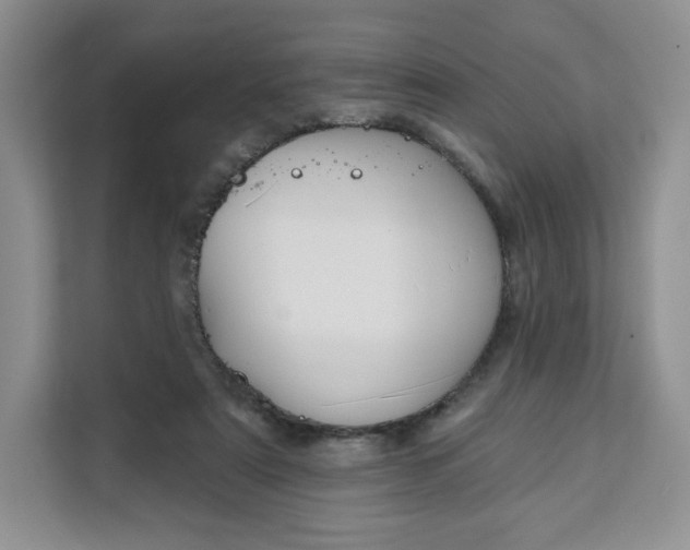 X0000111160307200907141407