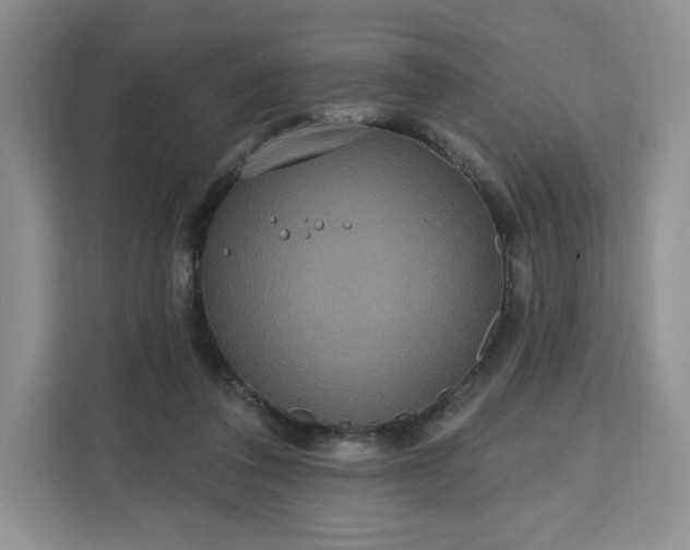 X0000111160308200907141407