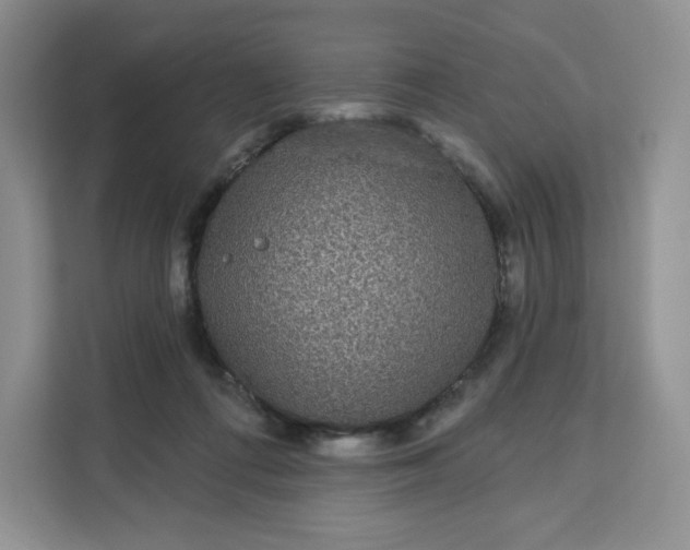 X0000111160312200907141407