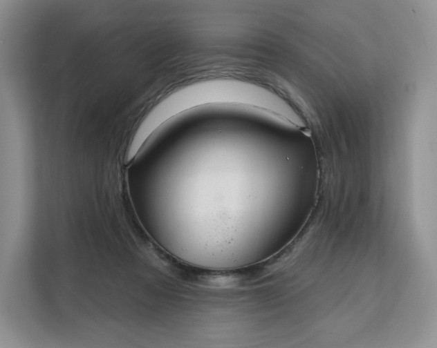 X0000111160313200907141407