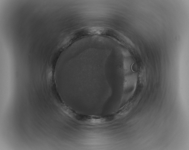 X0000111160314200907141407
