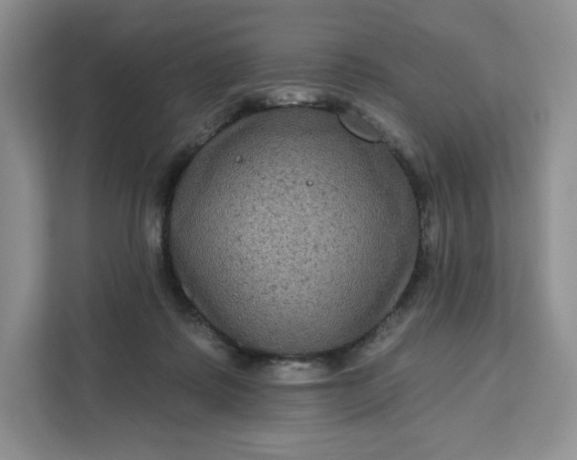 X0000111160315200907141407
