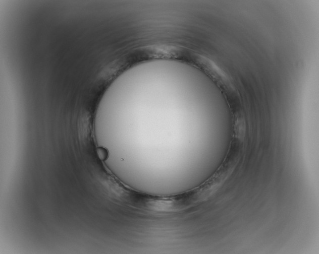 X0000111160318200907141407