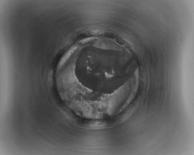 X0000111160319200907141407