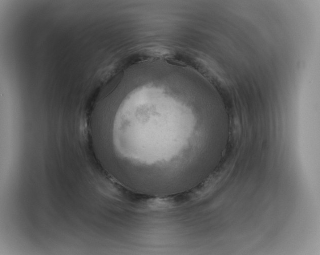 X0000111160320200907141407