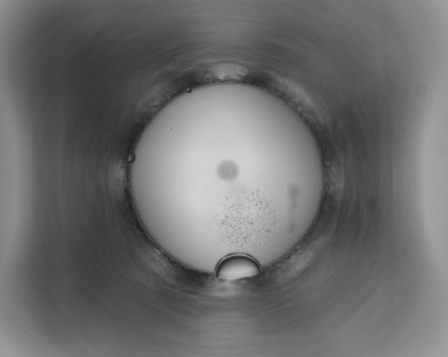 X0000111160321200907141407