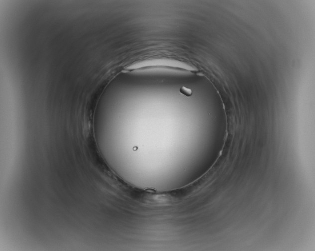 X0000111160324200907141407