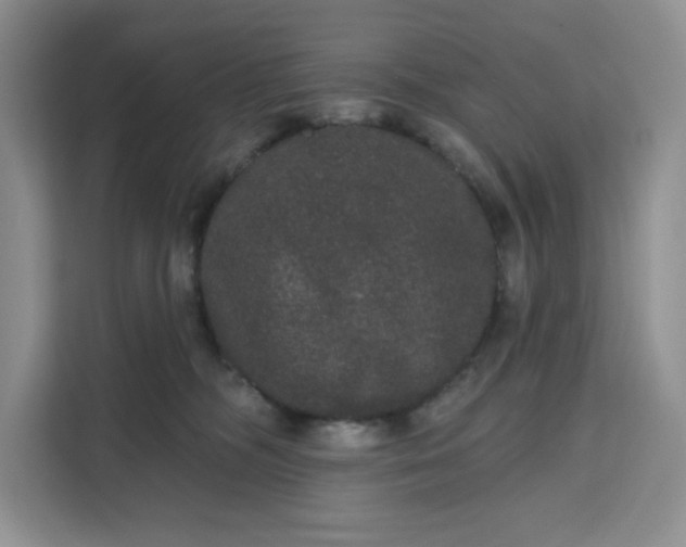 X0000111160326200907141407