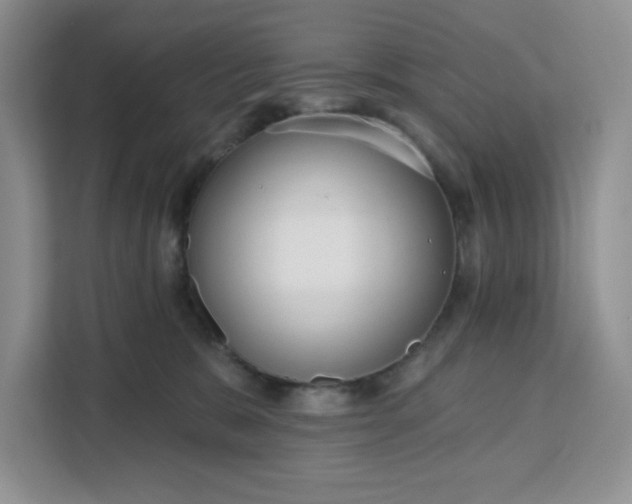 X0000111160327200907141407