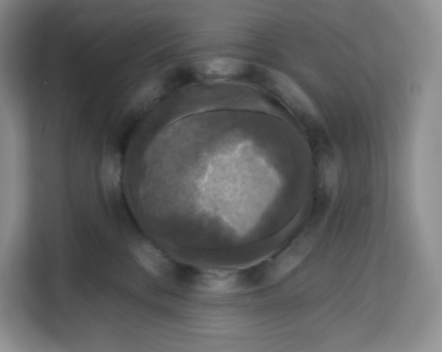X0000111160328200907141407