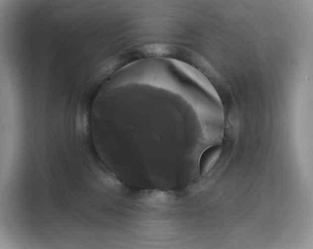 X0000111160330200907141407