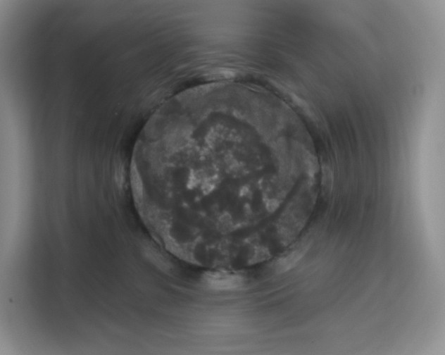 X0000111160331200907141407