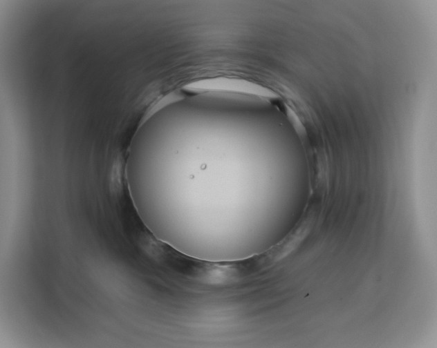 X0000111160333200907141407