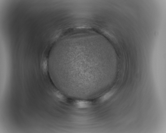 X0000111160336200907141407