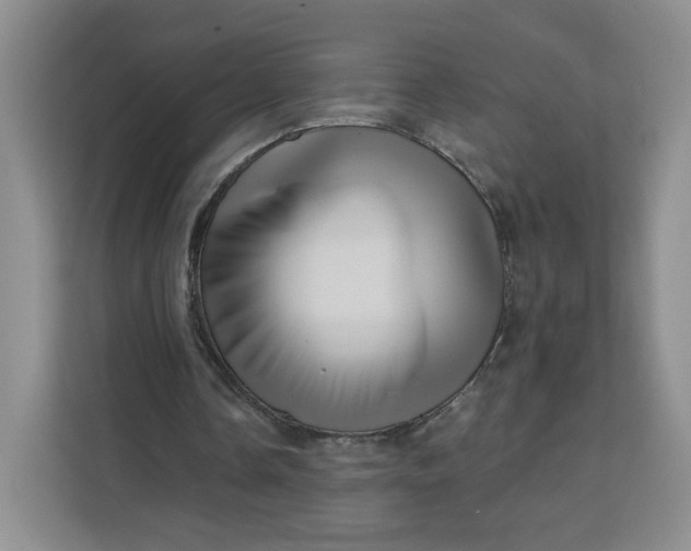 X0000111160338200907141406