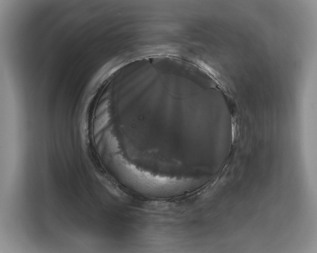 X0000111160339200907141406