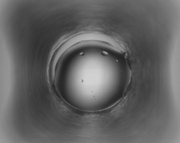 X0000111160340200907141406